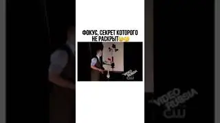 Фукус всех времён