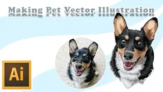 VECTOR PET (timelapse)