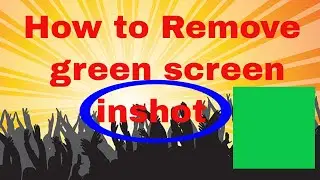 How to Remove Green Screen Background with Chroma(InShot Tutorial)