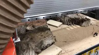 Resurfacing Red Wood Slab