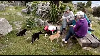 Обед в Старом Баре