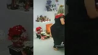 Chegada Maria Padilha