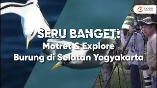 SERU! Motret & Explore Burung di Selatan Yogjakarta | DOSS Photo Trip