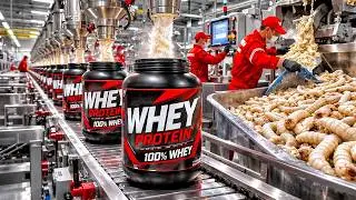 How Is Whey Protein Made? The Massive Industrial Process Behind Every Scoop