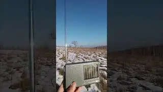 E75M & JA1AAA