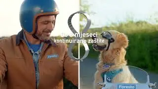 Foresto Strap in dog