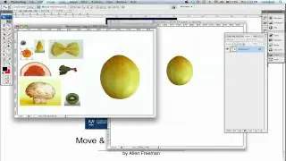 Photoshop move & rectangular marquee Tools
