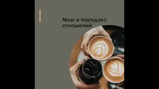 Мозг и парадокс в отношениях