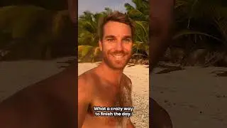 Sharks Hunting Up The Beach!