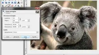 GIMP [ITA] - Ingrandire/rimpicciolire una foto