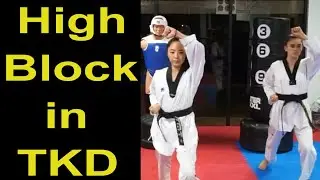High Block in Taekwondo