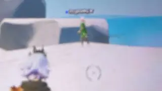Berry Itish’s Fortnite animal hunting.
