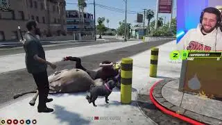 Mr. K kills Tommy T and Chawa on a Cow