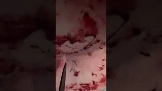 Belly stab for Halloween 