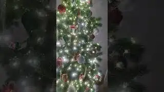 всех с новым годом!!!🎄✨☃️🐹🎉 🤶
