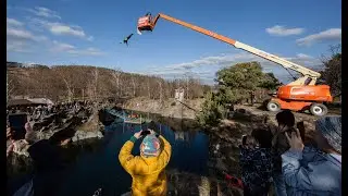 HIGHJUMP 2022 Winter edition