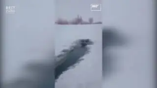 Охотник голыми руками достал провалившихся под лед кабанов