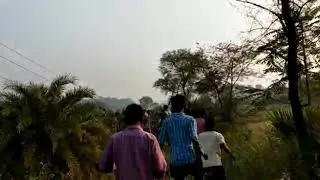 7 elephants got electrocuted in Indian state Odisha