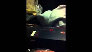 Dr dre beats 