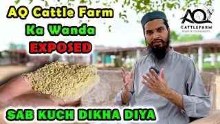 Feed Recipe of AQ Cattle Farm | Full Procedure Explained | Alvida Tamanna