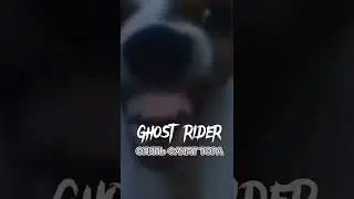 Тор против Думсдея: 