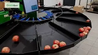 Pomegranate sorting machine Green Sort