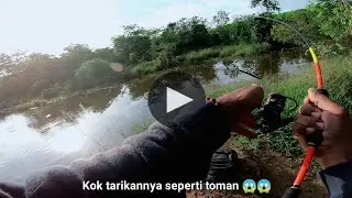 MANCING HAMPALA BARB MONSTER | REYNOLD SB