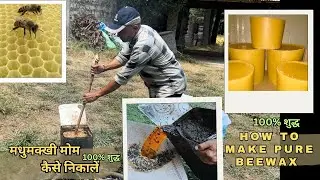 How to make beewax from a honeycomb / मधुमक्खी  का मोम कैसे निकालें / Beewax #honeybee #video #bee
