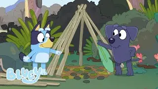 Visitare nuovi luoghi con Bluey 👀 | Bluey Italiano Canale Ufficiale 💙 🇮🇹