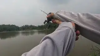 lên cá.....