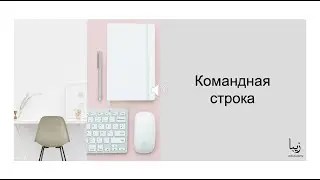 Командная Строка в Node.js