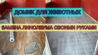 ДОМИК ДЛЯ ЖИВОТНЫХ: укладка линолеума своими руками