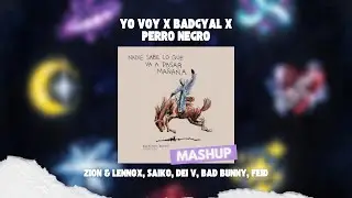 Bad Bunny, Feid, Zion & Lennox, Saiko, Dei V - Yo Voy x BADGYAL x PERRO NEGRO (David Farré MashUp)