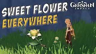 GENSHIN IMPACT - Sweet Flower Locations - Close to Waypoints