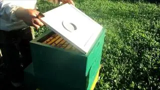 Поготовка к зимовке 2016