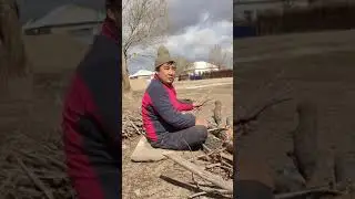 пародия