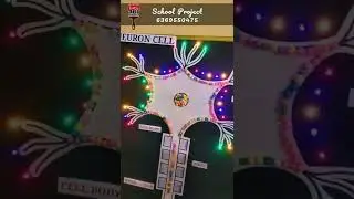 Neuron Cell School project | Working model | School project work | 6369550475