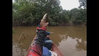 DE LA LAGUNA AL RÍO: ¡PESCA INCREÍBLE DE PALOMETAS!