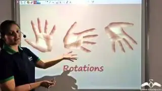 Introduction to Congruency| ICSE | CBSE | Class 7 | Class 8