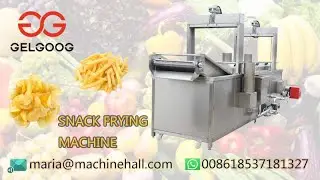 Introduce Of The Snack Food Frying Machine Line@Fruit-Process.Com