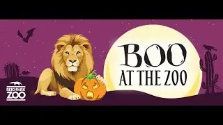 Enjoy A Bewitching Evening This Halloween At Boo At The Zoo!