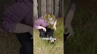 Как спасти ягнёнка без матери? Умный трюк фермеров 🌿🐏