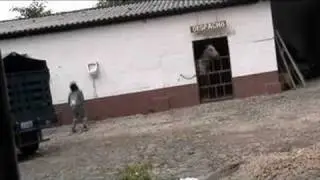 PROMO DEL MES: JUNIO 2008