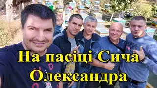 На пасіці Сича Олександра. Вінниччина/