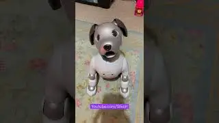 Aibo Kisses!