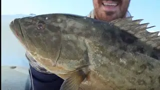 2 days fishing at the mouth of Tampa bay, skyway pier and boat