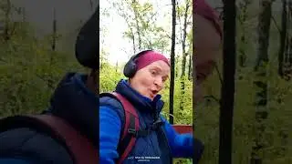 Осень ты на грусть мою похожа #ЛАРАзвезДА
