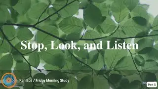 Stop, Look, and Listen (Part 5)