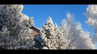 С Новым Годом!