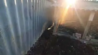 4 ноября 2023 г.